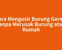 Cara Mengusir Burung Gereja tanpa Merusak Burung atau Rumah