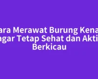 Cara Merawat Burung Kenari agar Tetap Sehat dan Aktif Berkicau