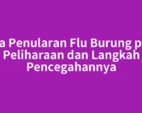 Cara Penularan Flu Burung pada Peliharaan dan Langkah Pencegahannya