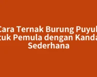 Cara Ternak Burung Puyuh untuk Pemula dengan Kandang Sederhana