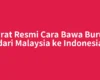Syarat Resmi Cara Bawa Burung dari Malaysia ke Indonesia