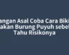 Jangan Asal Coba Cara Bikin Jebakan Burung Puyuh sebelum Tahu Risikonya