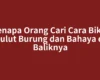 Kenapa Orang Cari Cara Bikin Pulut Burung dan Bahaya di Baliknya