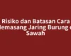 Risiko dan Batasan Cara Memasang Jaring Burung di Sawah