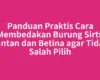 Panduan Praktis Cara Membedakan Burung Sirtu Jantan dan Betina agar Tidak Salah Pilih