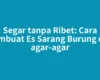 Segar tanpa Ribet: Cara Membuat Es Sarang Burung dari agar-agar