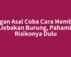 Jangan Asal Coba Cara Membuat Jebakan Burung, Pahami Risikonya Dulu