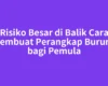 Risiko Besar di Balik Cara Membuat Perangkap Burung bagi Pemula