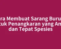Cara Membuat Sarang Burung untuk Penangkaran yang Aman dan Tepat Spesies