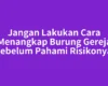 Jangan Lakukan Cara Menangkap Burung Gereja sebelum Pahami Risikonya