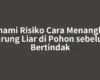 Pahami Risiko Cara Menangkap Burung Liar di Pohon sebelum Bertindak