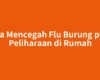 Cara Mencegah Flu Burung pada Peliharaan di Rumah