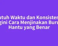Butuh Waktu dan Konsistensi Begini Cara Menjinakan Burung Hantu yang Benar