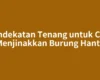 Pendekatan Tenang untuk Cara Menjinakkan Burung Hantu