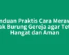 Panduan Praktis Cara Merawat Anak Burung Gereja agar Tetap Hangat dan Aman