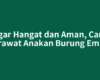 Agar Hangat dan Aman, Cara Merawat Anakan Burung Emprit