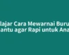 Belajar Cara Mewarnai Burung Hantu agar Rapi untuk Anak