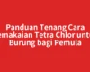 Panduan Tenang Cara Pemakaian Tetra Chlor untuk Burung bagi Pemula
