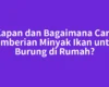 Kapan dan Bagaimana Cara Pemberian Minyak Ikan untuk Burung di Rumah?