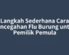 Langkah Sederhana Cara Pencegahan Flu Burung untuk Pemilik Pemula