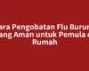 Cara Pengobatan Flu Burung yang Aman untuk Pemula di Rumah