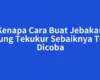 Kenapa Cara Buat Jebakan Burung Tekukur Sebaiknya Tidak Dicoba