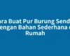 Cara Buat Pur Burung Sendiri dengan Bahan Sederhana di Rumah