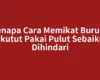 Kenapa Cara Memikat Burung Perkutut Pakai Pulut Sebaiknya Dihindari