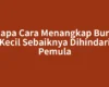 Kenapa Cara Menangkap Burung Kecil Sebaiknya Dihindari Pemula