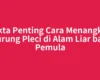 Fakta Penting Cara Menangkap Burung Pleci di Alam Liar bagi Pemula