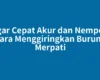 Agar Cepat Akur dan Nempel, Cara Menggiringkan Burung Merpati