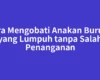 Cara Mengobati Anakan Burung yang Lumpuh tanpa Salah Penanganan